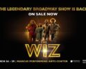 The WIZ